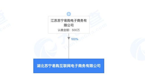 蘇寧易購在武漢成立電商公司,注冊(cè)資本500萬元