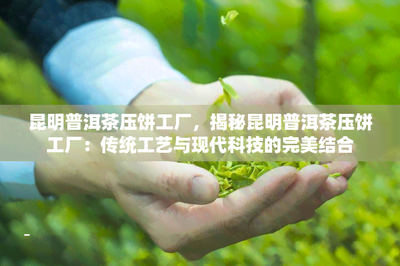 昆明普洱茶壓餅工廠,揭秘昆明普洱茶壓餅工廠:傳統(tǒng)工藝與現(xiàn)代科技的完美結(jié)合
